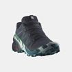 Picture of SALOMON SPEEDCROSS 6
